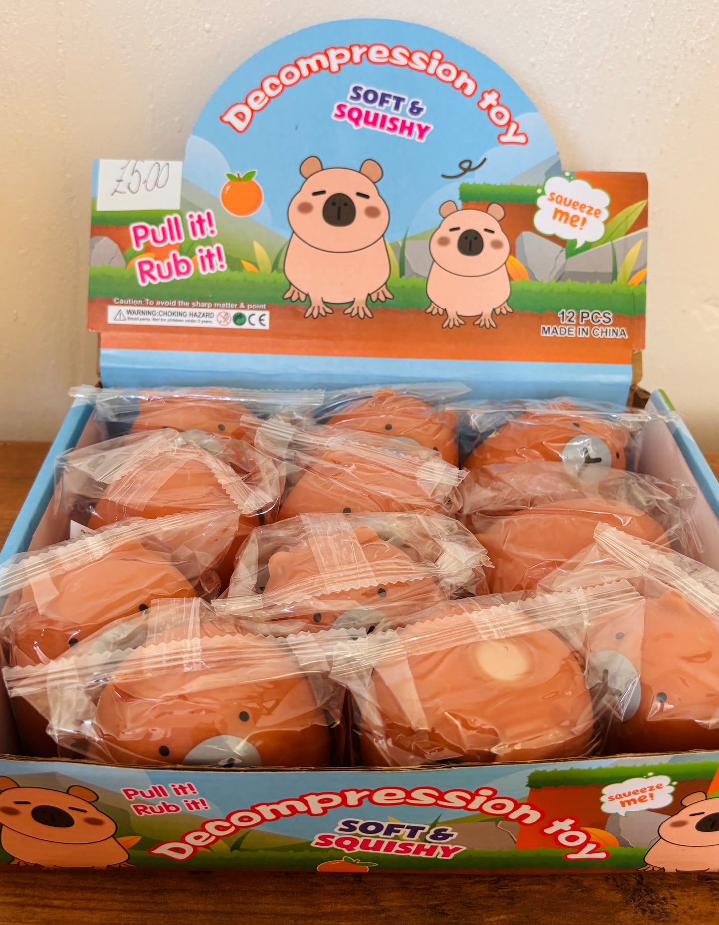 Capybara Squishy